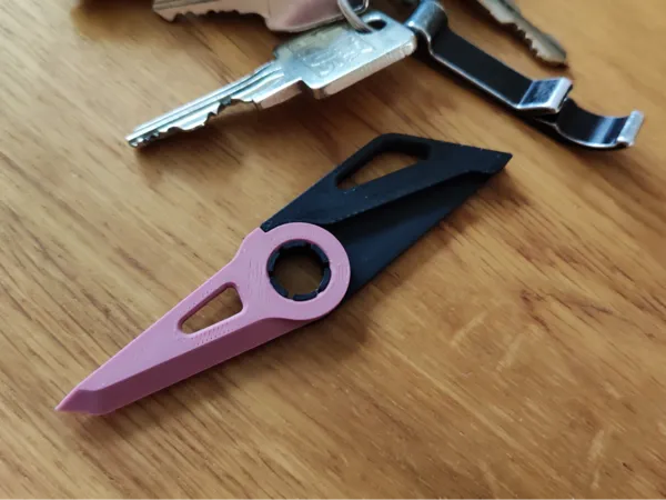 https://makerworld.bblmw.com/makerworld/model/USdabc4c824ecc88/design/2024-08-23_81a98ea219169.jpg