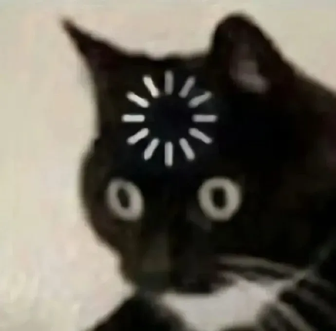 Confused cat meme cover of A1/A1mini extruder view 4