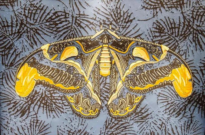 Atlas Moth Hueforge 7 Colour