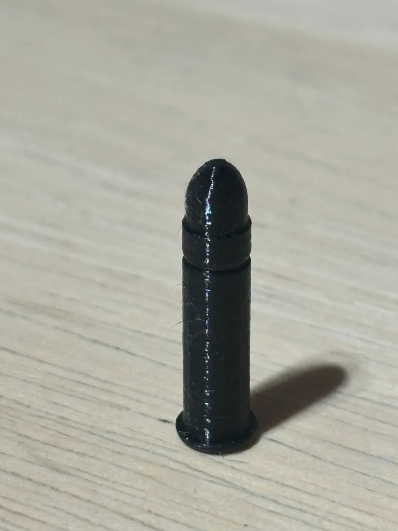 22LR Dummy 21 Rounds