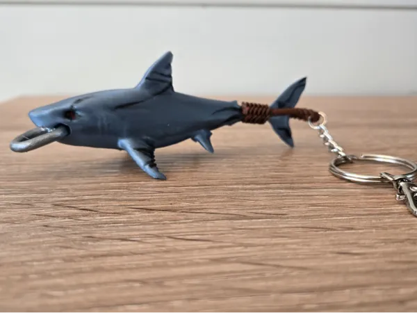 https://makerworld.bblmw.com/makerworld/model/USdacd1ed819cc15/design/2025-03-10_b05e5b220ba63.jpg