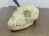 0.2mm layer, 2 walls, 10% infill