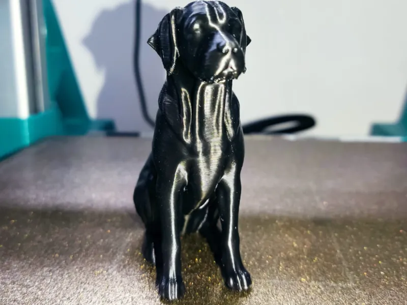 Labrador
