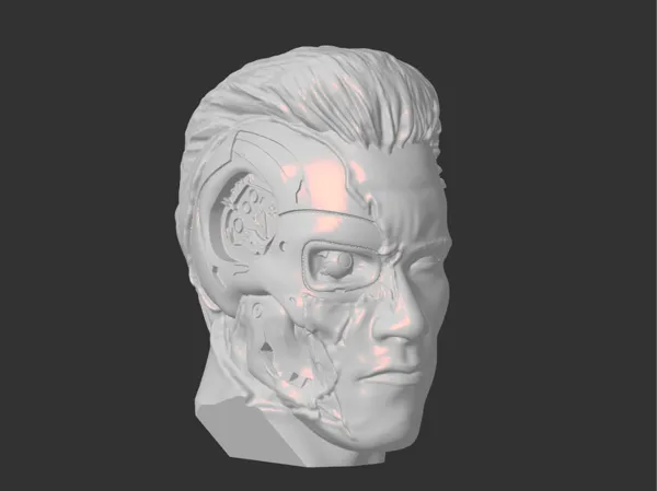 https://makerworld.bblmw.com/makerworld/model/USdad4476631dd46/design/2025-02-14_78554d4af4505.png