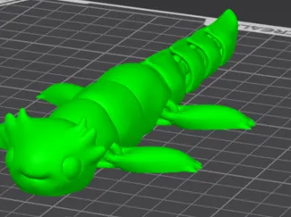 Flexi Axolotl