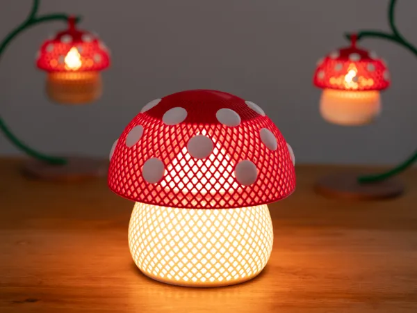 https://makerworld.bblmw.com/makerworld/model/USdae56f8ad3535a/design/2026-01-12_3ed8e15f08ca18.jpg