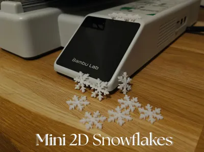 Mini 2D snowflakes