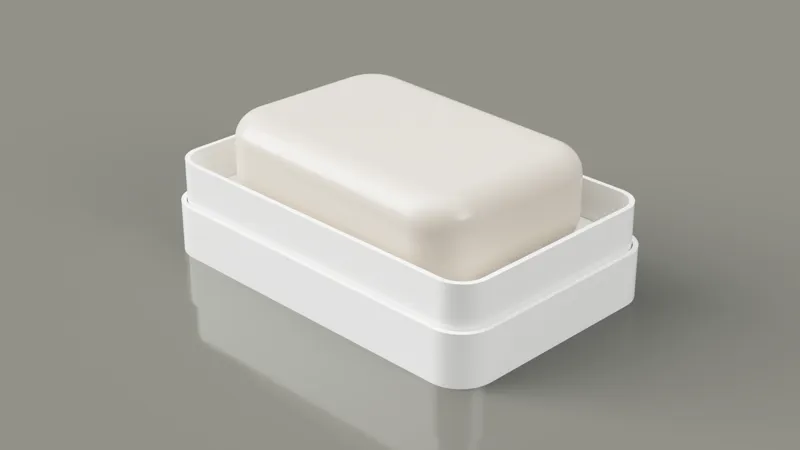 Soap Or Sponge Box