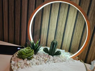Zen Garden