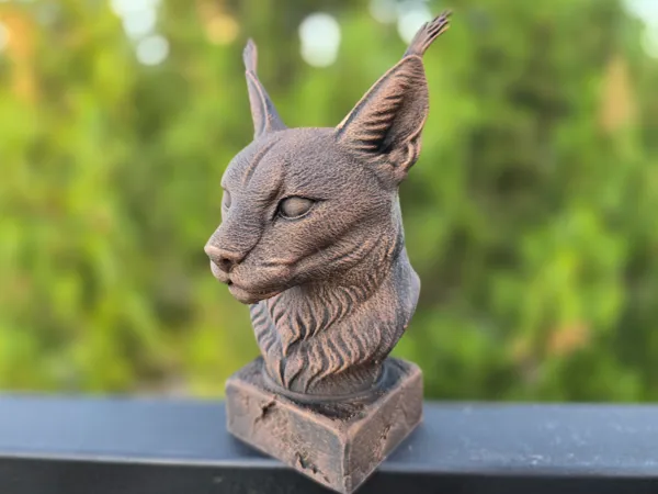 https://makerworld.bblmw.com/makerworld/model/USdae8da5566ccca/design/2025-05-29_756b02f0d45fb.jpg