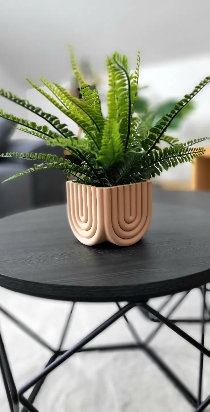 Plant Pot