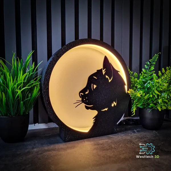 https://makerworld.bblmw.com/makerworld/model/USdaf1956a6c306e/design/2024-12-13_c8495f3d5a801.jpg