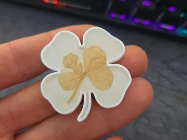 https://makerworld.bblmw.com/makerworld/model/USdaf6fc3b4f85c5/design/2025-02-14_e198172f763e8.jpg