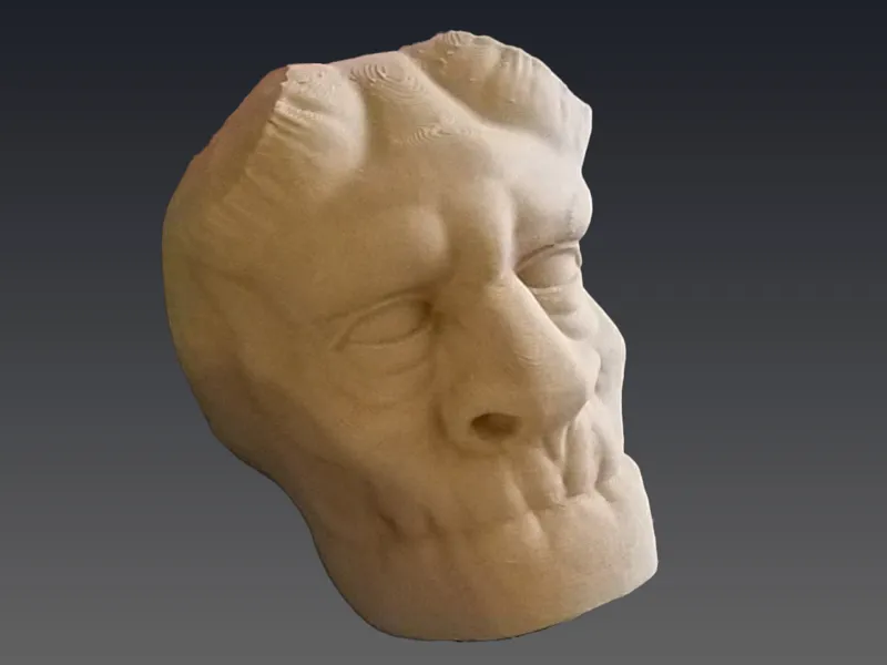 Heckboy Head
