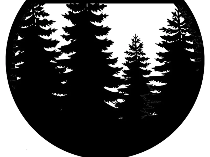 Pine Trees
