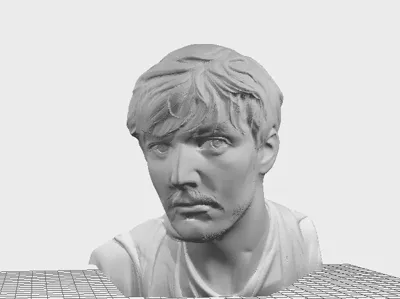Pedro Pascal Bust