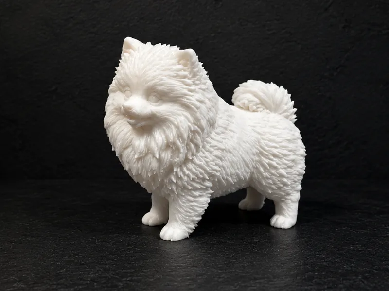 Pomeranian Dog - Puppy - Animal 