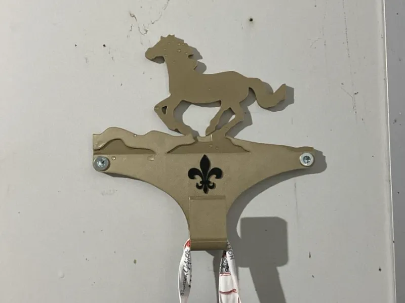 Horse clothing hanger with fleur-de-lis