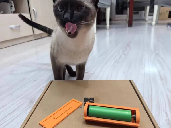 https://makerworld.bblmw.com/makerworld/model/USdb051d766efaf4/design/2024-07-25_d79992a02675a.jpg