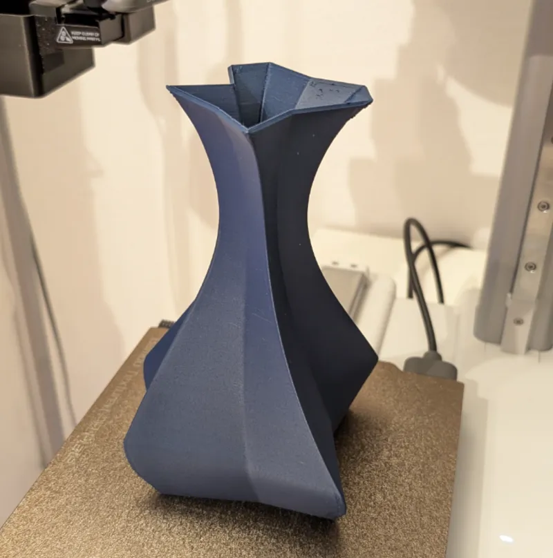 Elegant Vase
