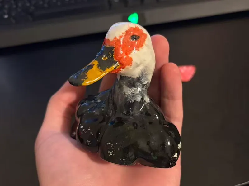 Muscular Duck