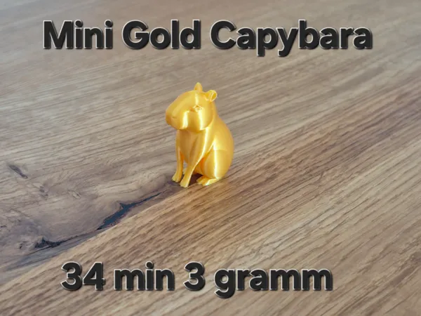 https://makerworld.bblmw.com/makerworld/model/USdb118a59c8c374/design/2025-06-28_7337d5bec7b1c.jpg