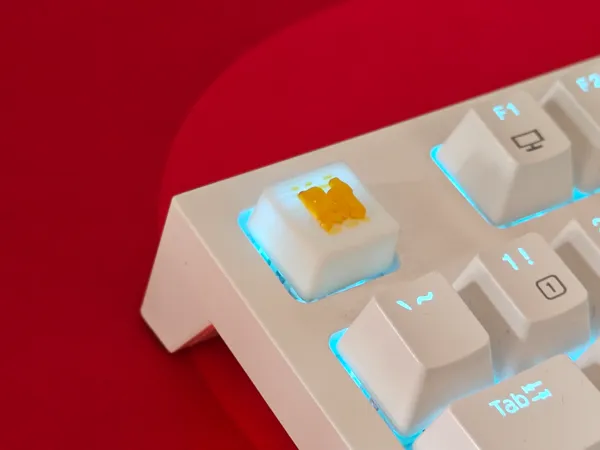 https://makerworld.bblmw.com/makerworld/model/USdb18f7a88f6059/design/2025-12-20_fa205a4112f2c.jpg