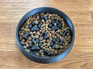 "Paw & Bone" Slow Feeder Bowl for Dogs