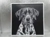 Dalmatian_170x170_A1 Mini