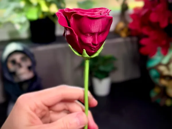 https://makerworld.bblmw.com/makerworld/model/USdb20a70fa90850/design/2025-10-16_1a56bd1a96f09.png