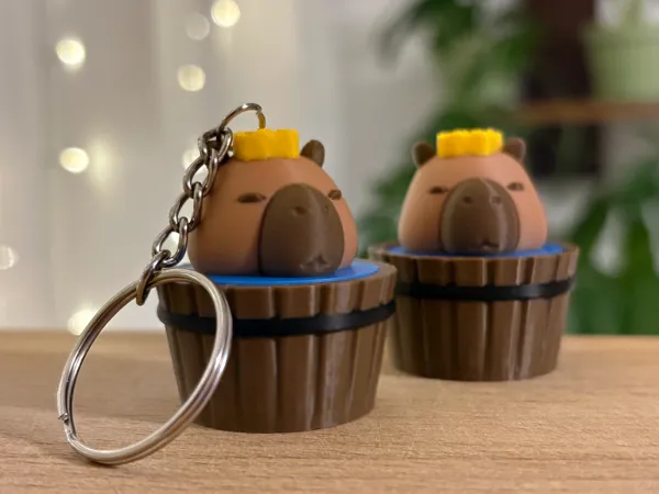 https://makerworld.bblmw.com/makerworld/model/USdb20da3c1727f2/design/2025-11-19_893f56015dca6.jpg