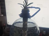 0.08mm layer, 2 walls, 15% infill