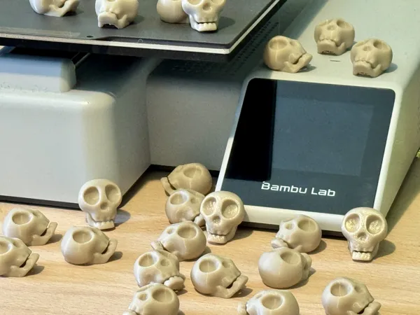https://makerworld.bblmw.com/makerworld/model/USdb230c8304a149/design/2025-10-04_235f728734898.jpg
