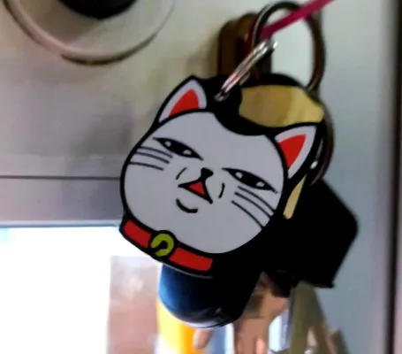 https://makerworld.bblmw.com/makerworld/model/USdb28d17afea91e/design/2024-12-18_27908a2b5f328.png
