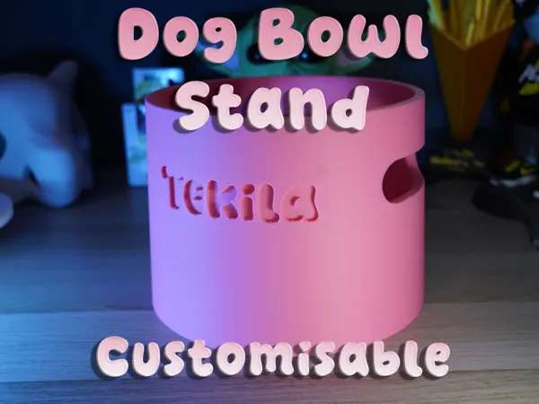 https://makerworld.bblmw.com/makerworld/model/USdb29360f353085/design/af6bc1a1994f67f4.png