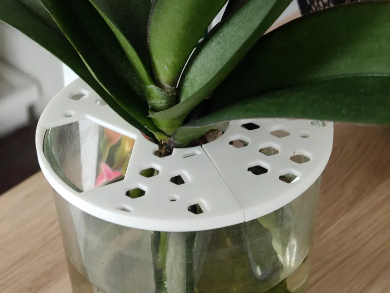Cache-Pot - Support tuteur pour Plantes