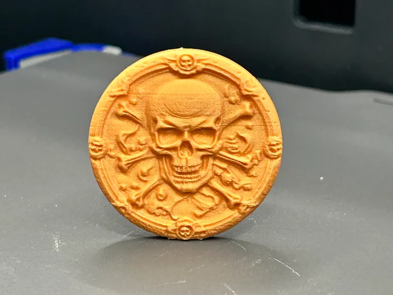 Pirate Party Treasure Coin