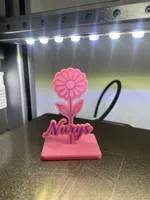 Nurys