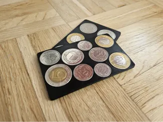 Coin card PLN