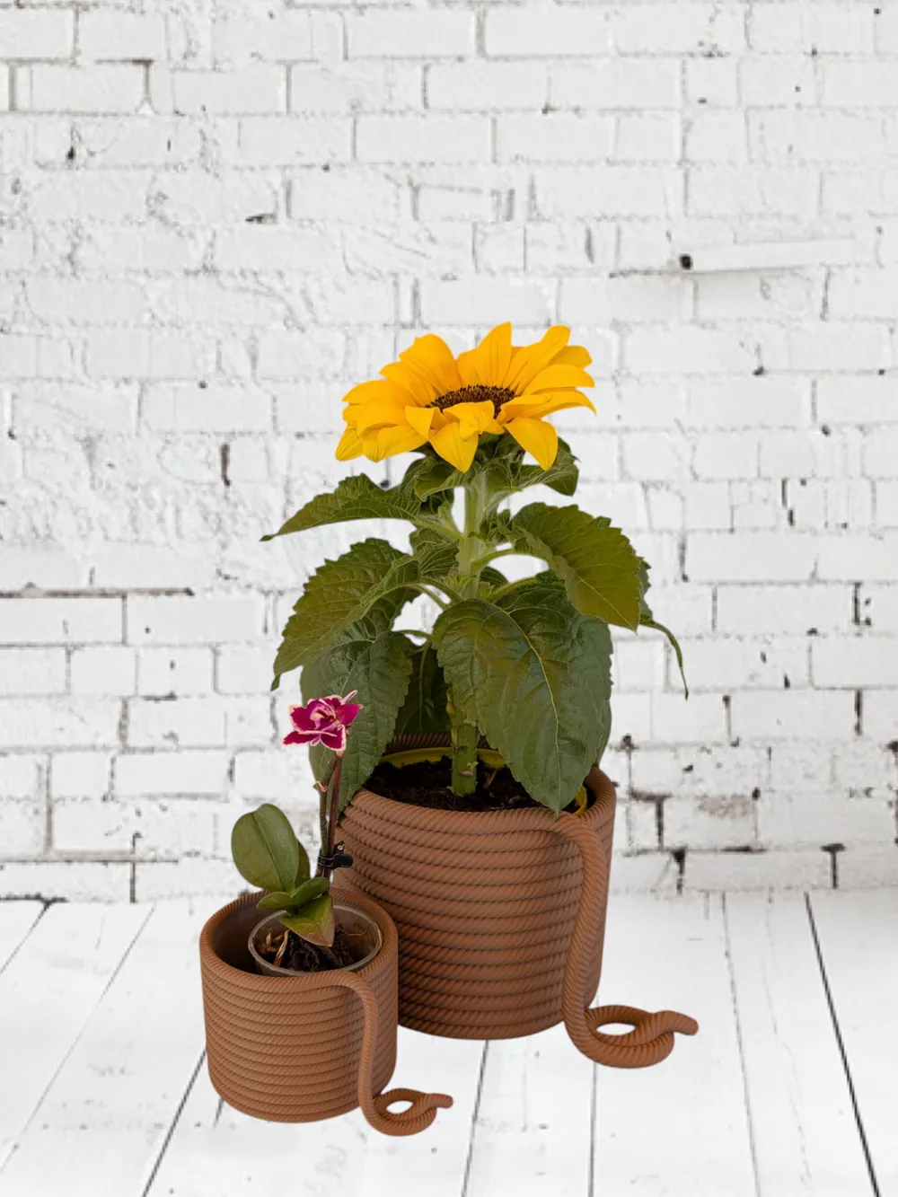 Rope Pot by Dondelschwinger MakerWorld: Download Free 3D Models