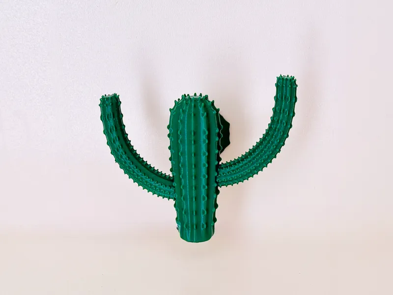 Cactus Shoe Rack