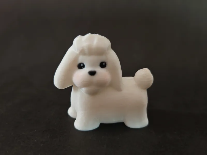 可爱小小贵宾犬迷你小狗