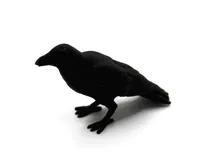Corbeau miniature — photo 6