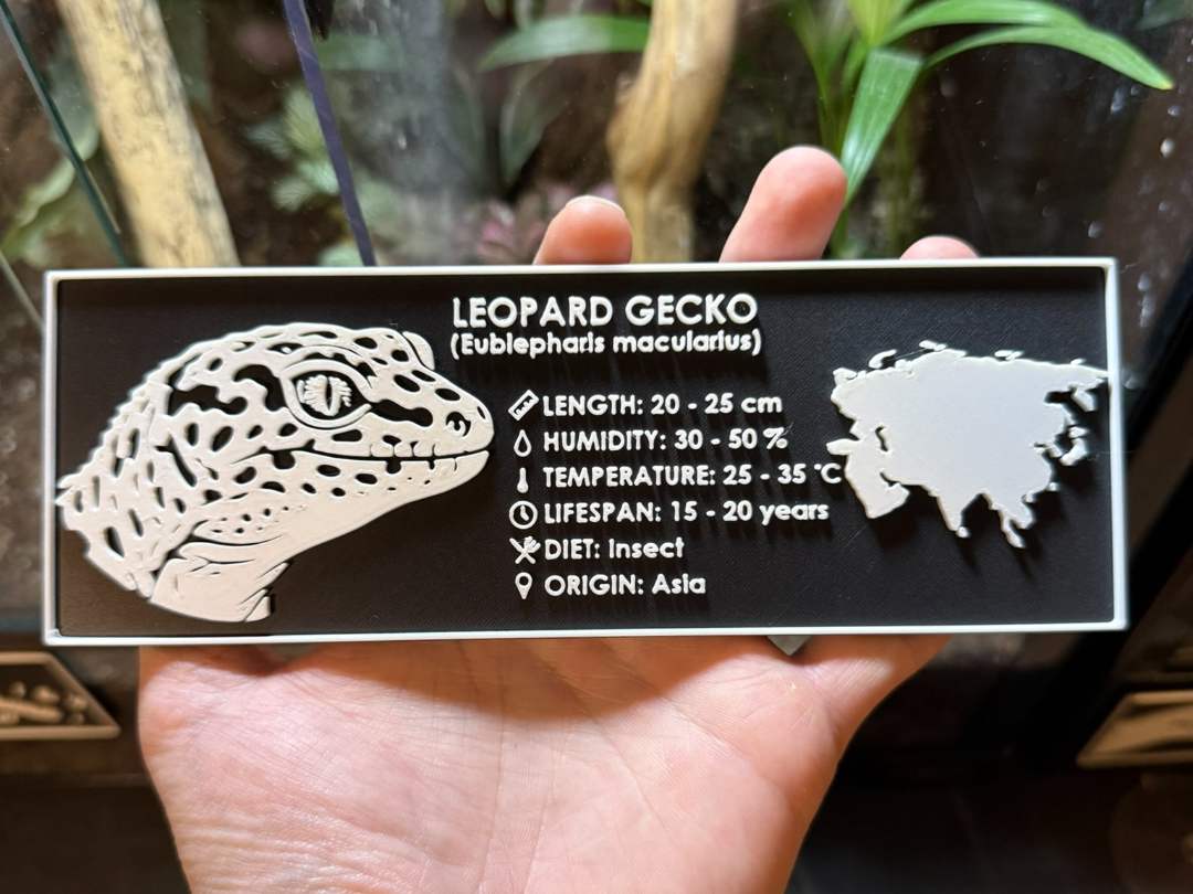 Terrarium Label - Leopard Gecko 3D model
