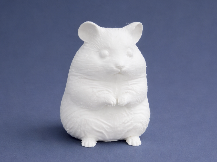 Sitting Hamster - Animal - Pet 