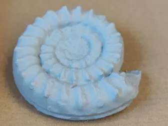 https://makerworld.bblmw.com/makerworld/model/USdb634d446d6489/design/2025-01-27_cf22f83d61704.jpg