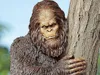 Bigfoot for H Series H2S H2D H2C