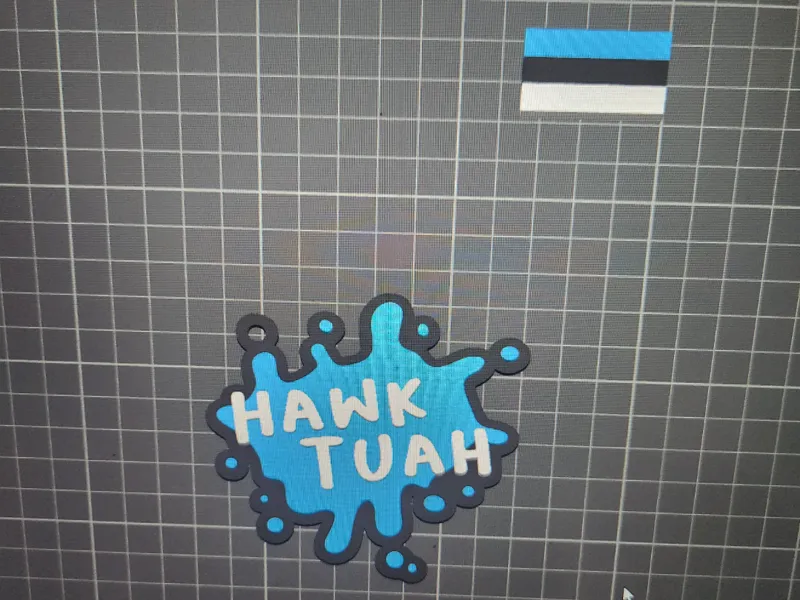 Hawk Tuah keychain