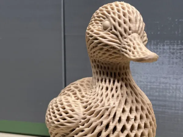 https://makerworld.bblmw.com/makerworld/model/USdb6a2347df4a31/design/11992644b6fd90c5.jpeg
