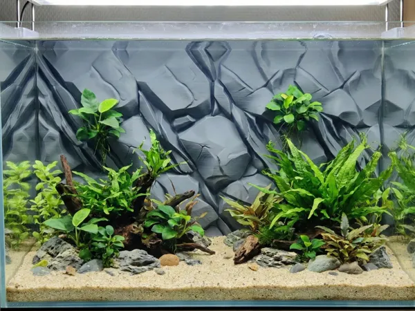 https://makerworld.bblmw.com/makerworld/model/USdb6c04338c3ea2/design/2025-12-15_b4597ec9bc79f.png